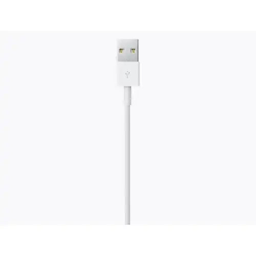 APPLE LIGHTNING TO USB CABLE