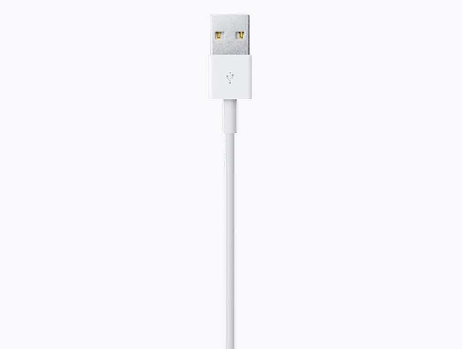 APPLE LIGHTNING TO USB CABLE