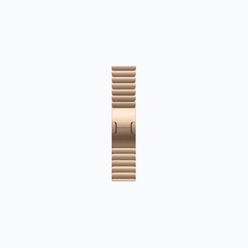 Apple Watch Series 10 Titanium Case Link Bracelet 46mm GPS + Cellular