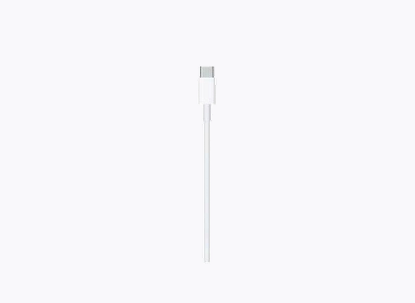 APPLE EAR PODS USB C