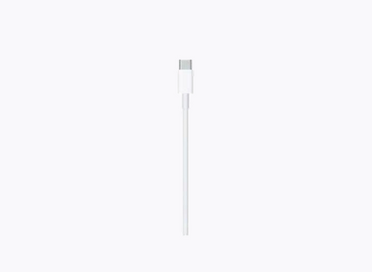APPLE EAR PODS USB C