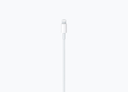 Apple USB C to Lightning Cable 2M MKQ42