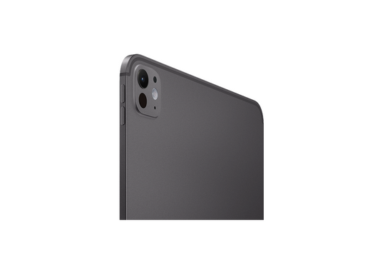 iPad Pro 11 M4 Cellular Space Black back

