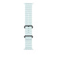 Apple Watch Ultra 2 49mm Natural Titanium